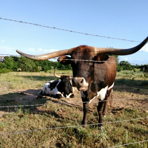 Meet your Posher, Donna - Picture 6 of 6